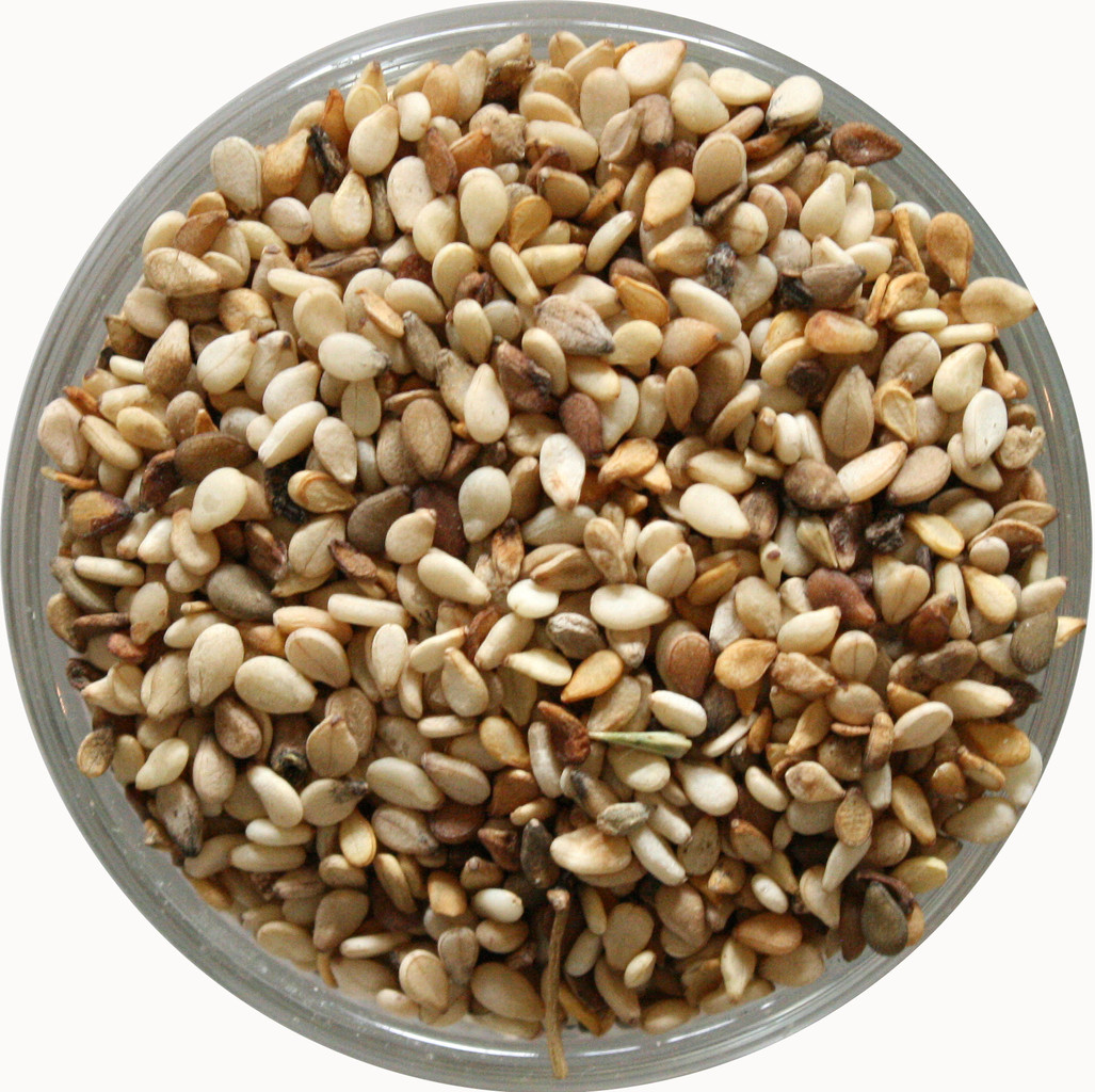 Oxbow Essentials Hamsterfutter 0,5kg - Vollwertnahrung Für Hamster & Rennmäuse