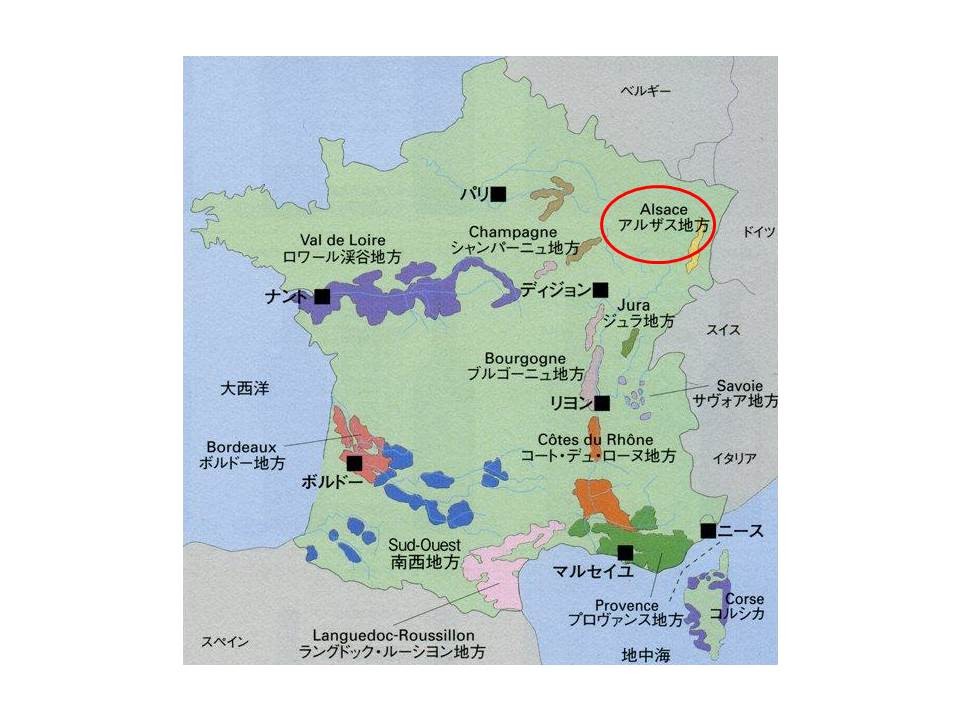 コルマール アルザス地方 ドイツ風フランス Oscar Japan Blog 成果企画 成果運営のオスカー ジャパン コルマール アルザス地方 ドイツ風フランス Oscar Japan Blog 成果企画 成果運営のオスカー ジャパン