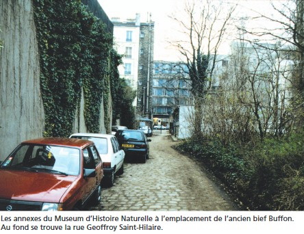 Annexes du museum d'histoire naturelle (années 90) . La rue Geoffroy Saint-Hilaire au fond à hauteur du 25