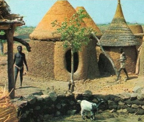 Un village africain au XXème siècle