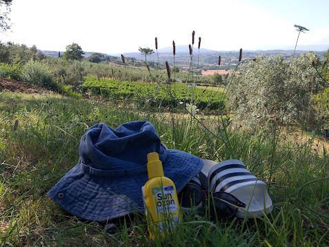 Die Toscana: Es ist so heiß! 26.-29.Juli