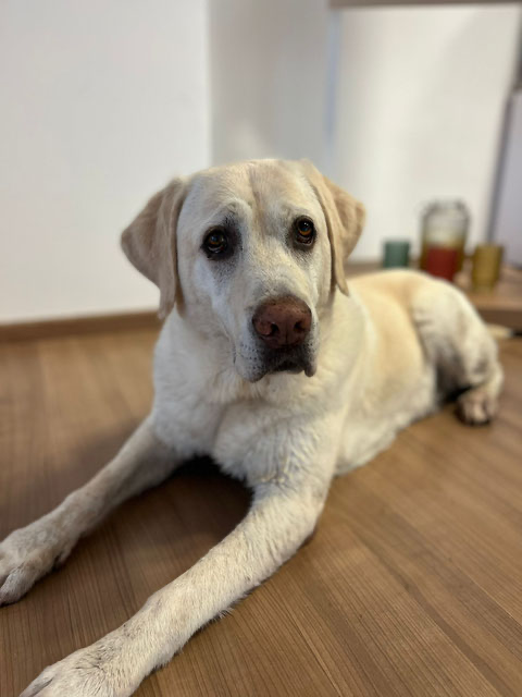 Linus