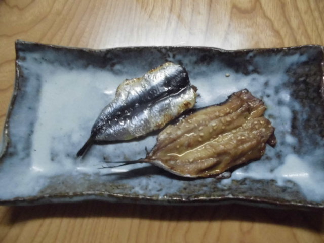マイワシのミリン干し 釣り アウトドア マイワシのミリン干し 釣り アウトドア
