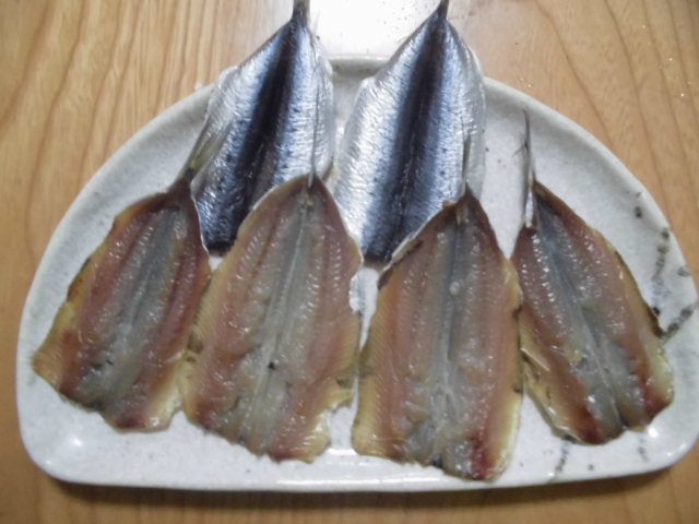マイワシの一夜干し 釣り アウトドア