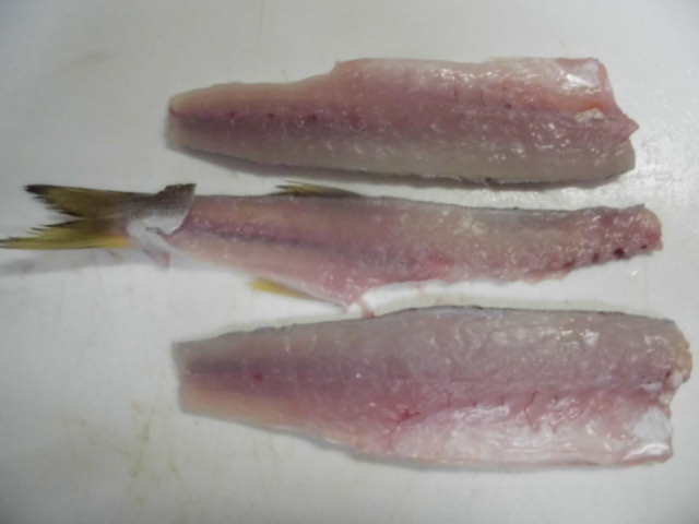 カマスの3枚おろし 大名おろし 釣り アウトドア