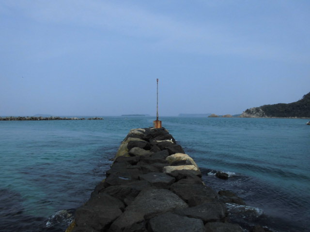 萩市　橋本川河口橋本川河口で釣れる魚橋本川河口の近くの釣り場