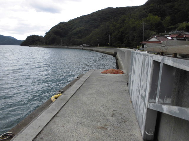 長門市 小島港 釣り アウトドア 長門市 小島港 釣り アウトドア