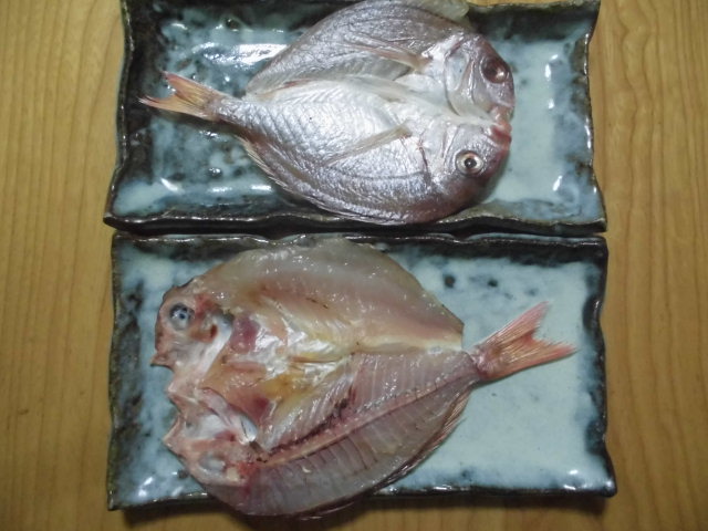 チダイの背開き すずめ開き 釣り アウトドア チダイの背開き すずめ開き 釣り アウトドア