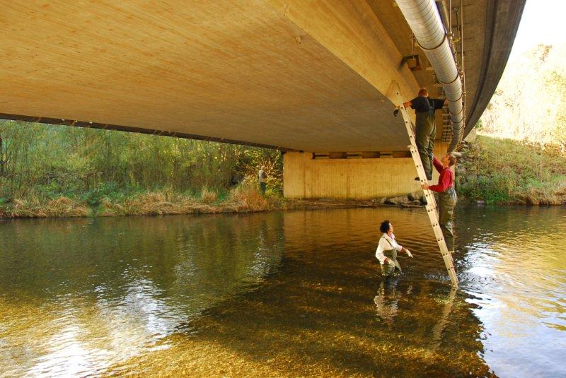 Wasseraselprojekt © LBV Miesbach