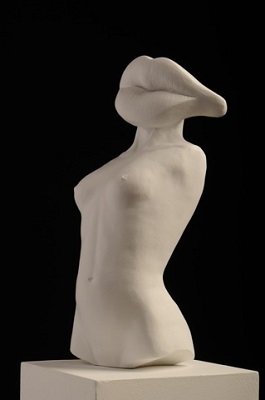 «shark venus»