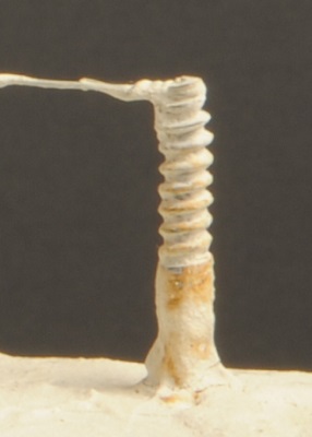 detail