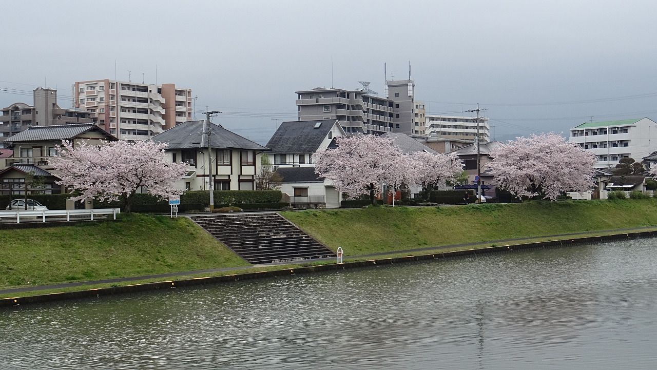 筑紫駅前通区
