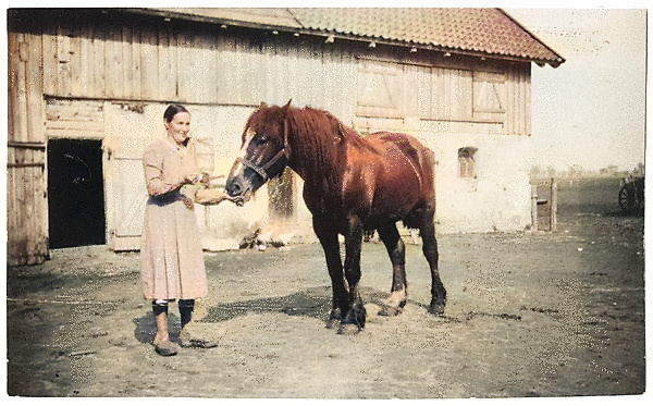 Udaly Ernsthof