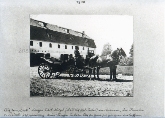 Kutscher Carl Riegel in Livree, der Familie v. Batocki jahrzehntelang treue Dienste leistete. Auf ihn konnte sich sein Herr verlassen.