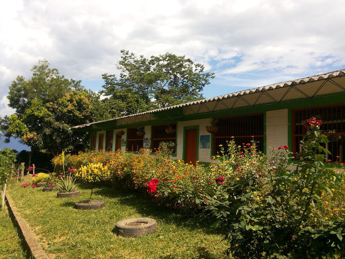 SEDE MATA DE MONTE