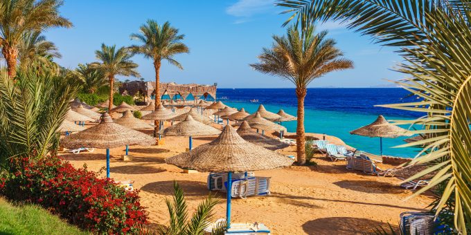Rundreisen mit 1AVista Reisen | Strand und Palmen in Ägypten