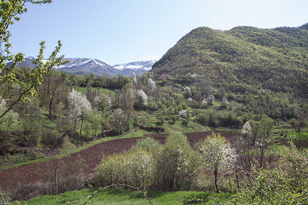 peshkopi-burrel