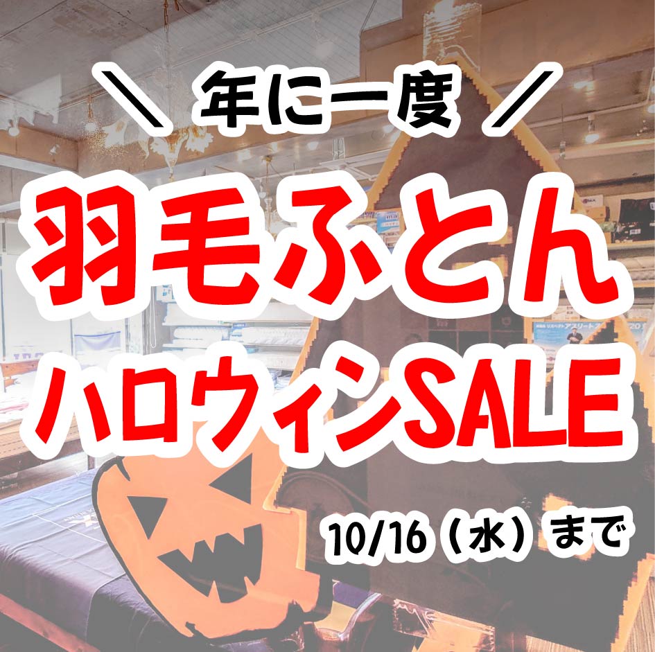 羽毛布団 在庫一掃 SALE