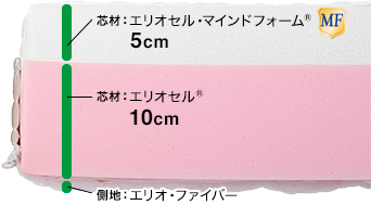 モデルローマ　/　マニフレックスはマニステージ福岡へ