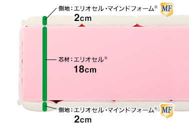 フラッグFX　/　マニフレックスはマニステージ福岡へ