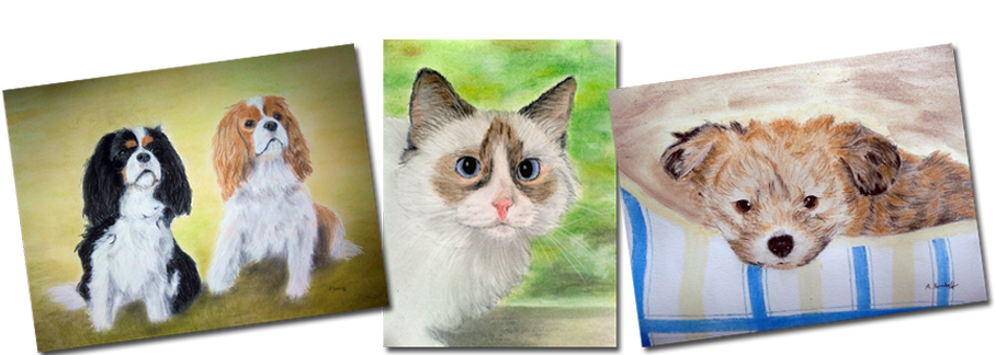 Anjas Galerie - Tierportraits in Pastell