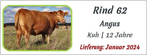 Rind 62 | Mein BioRind