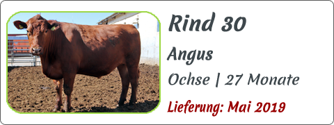Rind 30 | Mein BioRind