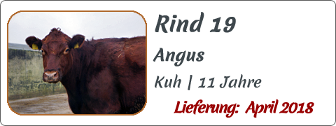 Rind 19 | Mein BioRind