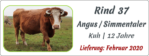 Rind 37 | Mein BioRind