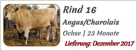 Rind 16 | Mein BioRind