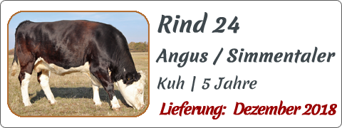 Rind 24 | Mein BioRind