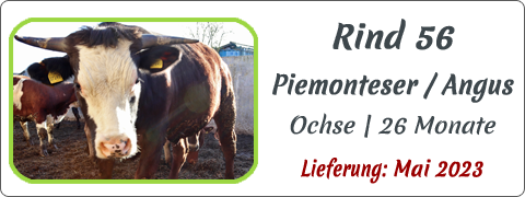 Rind 56 | Mein BioRind