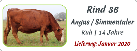 Rind 36 | Mein BioRind