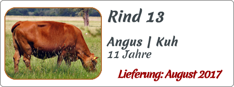 Rind 13 | Mein BioRind