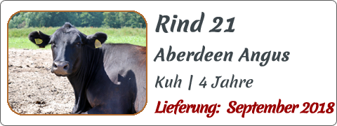 Rind 21 | Mein BioRind