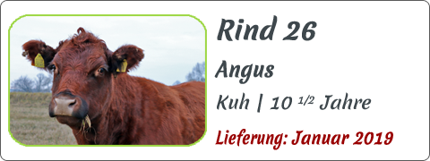 Rind 26 | Mein BioRind
