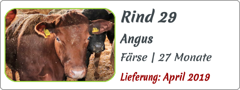 Rind 29 | Mein BioRind