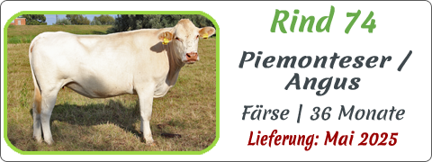 Rind 74 | Mein BioRind