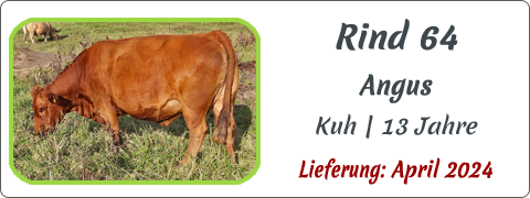 Rind 64 | Mein BioRind