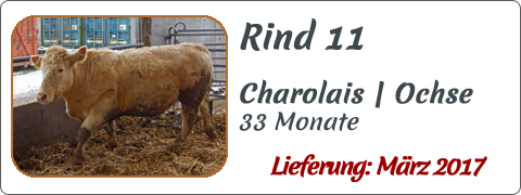 Rind 11 | Mein BioRind