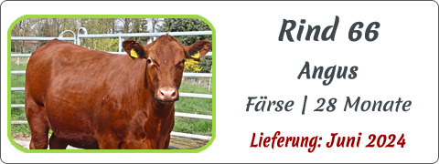 Rind 66 | Mein BioRind