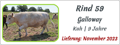 Rind 59 | Mein BioRind