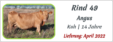 Rind 49 | Mein BioRind