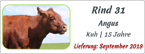 Rind 31 | Mein BioRind