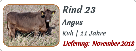 Rind 23 | Mein BioRind