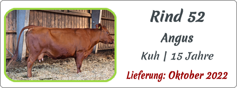 Rind 52 | Mein BioRind