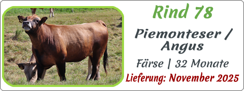 Rind 78 | Mein BioRind