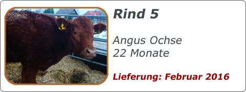 Rind 5