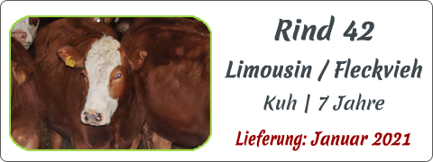 Rind 42 | Mein BioRind