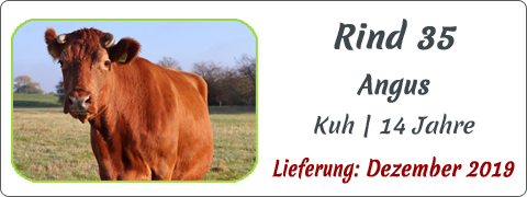 Rind 35 | Mein BioRind
